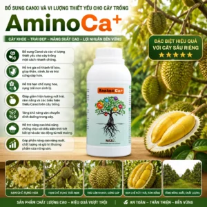 Alternative view of Amino Ca+