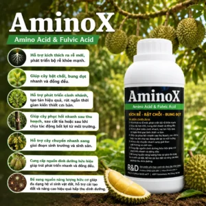 Alternative view of AminoX