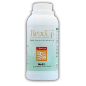 Brix Up
