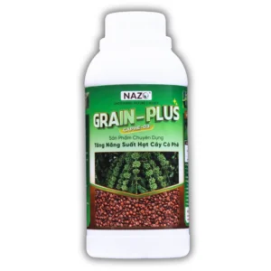 GRAIN PLUS