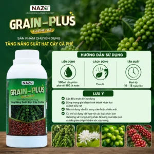 Alternative view of GRAIN PLUS