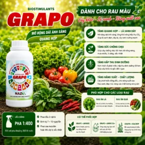 Alternative view of Grapo