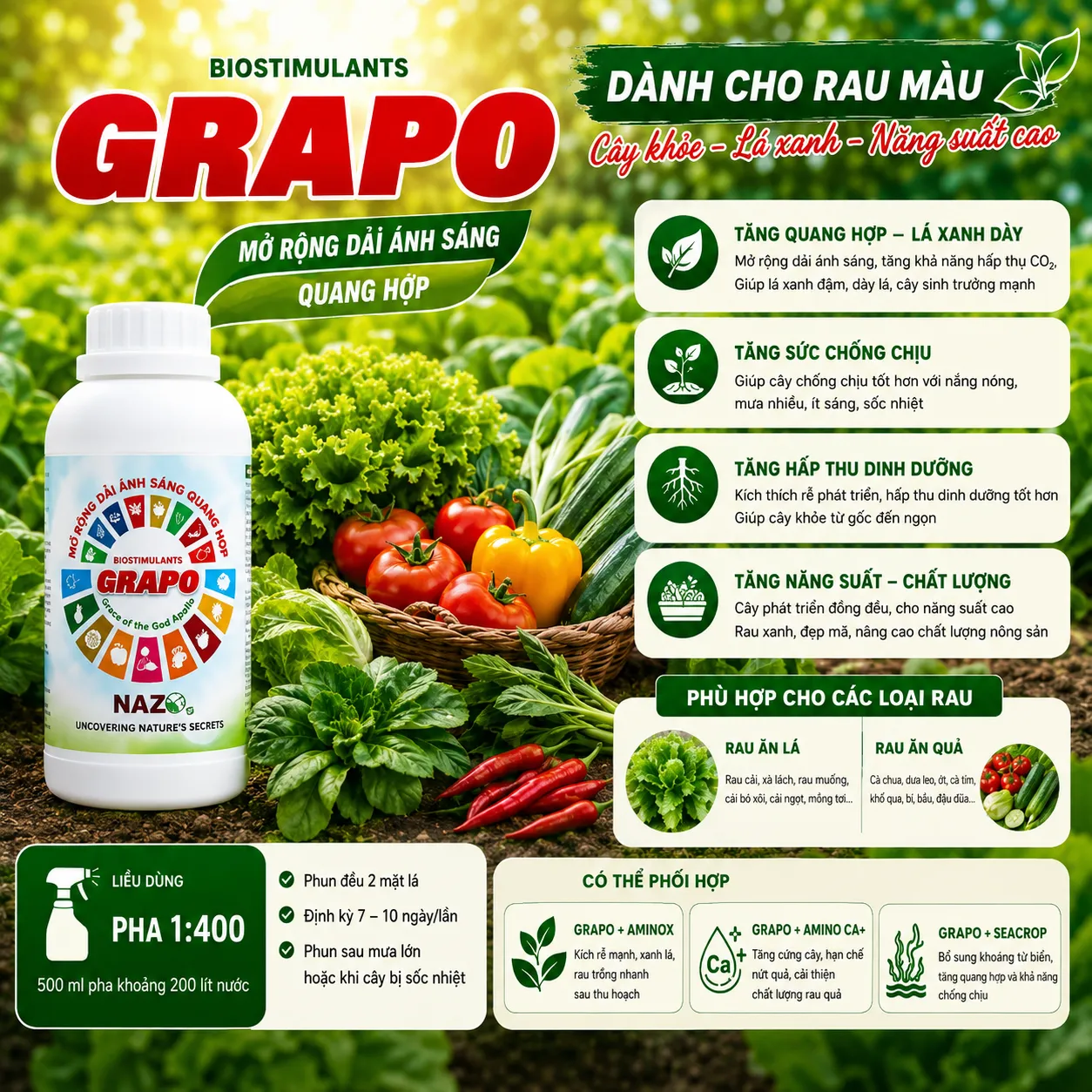 Grapo - Ảnh 2
