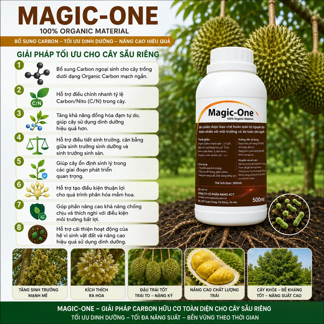 Magic One - Ảnh 4