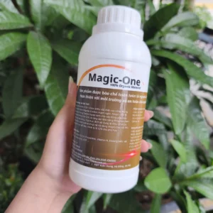 Alternative view of Magic One