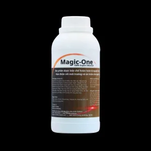 Magic One