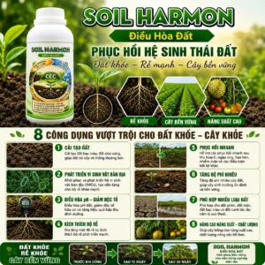 Alternative view of SOIL HARMONI