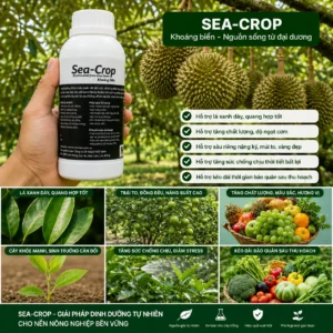 Alternative view of Sea-Crop