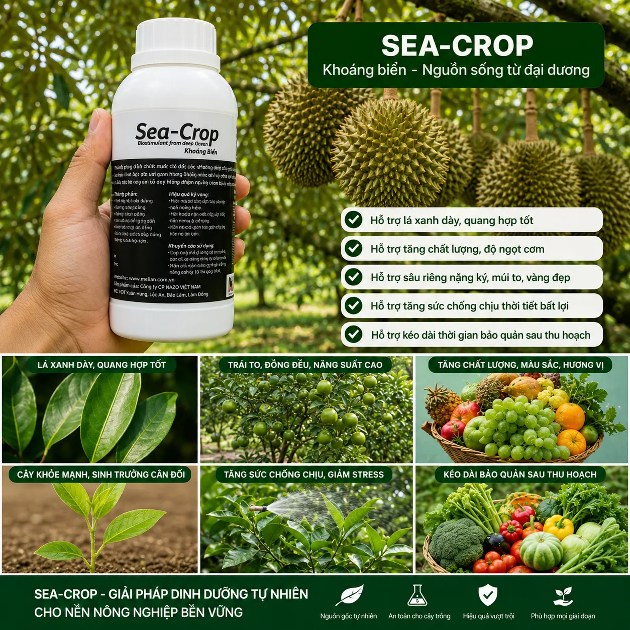 Sea-Crop - Ảnh 2