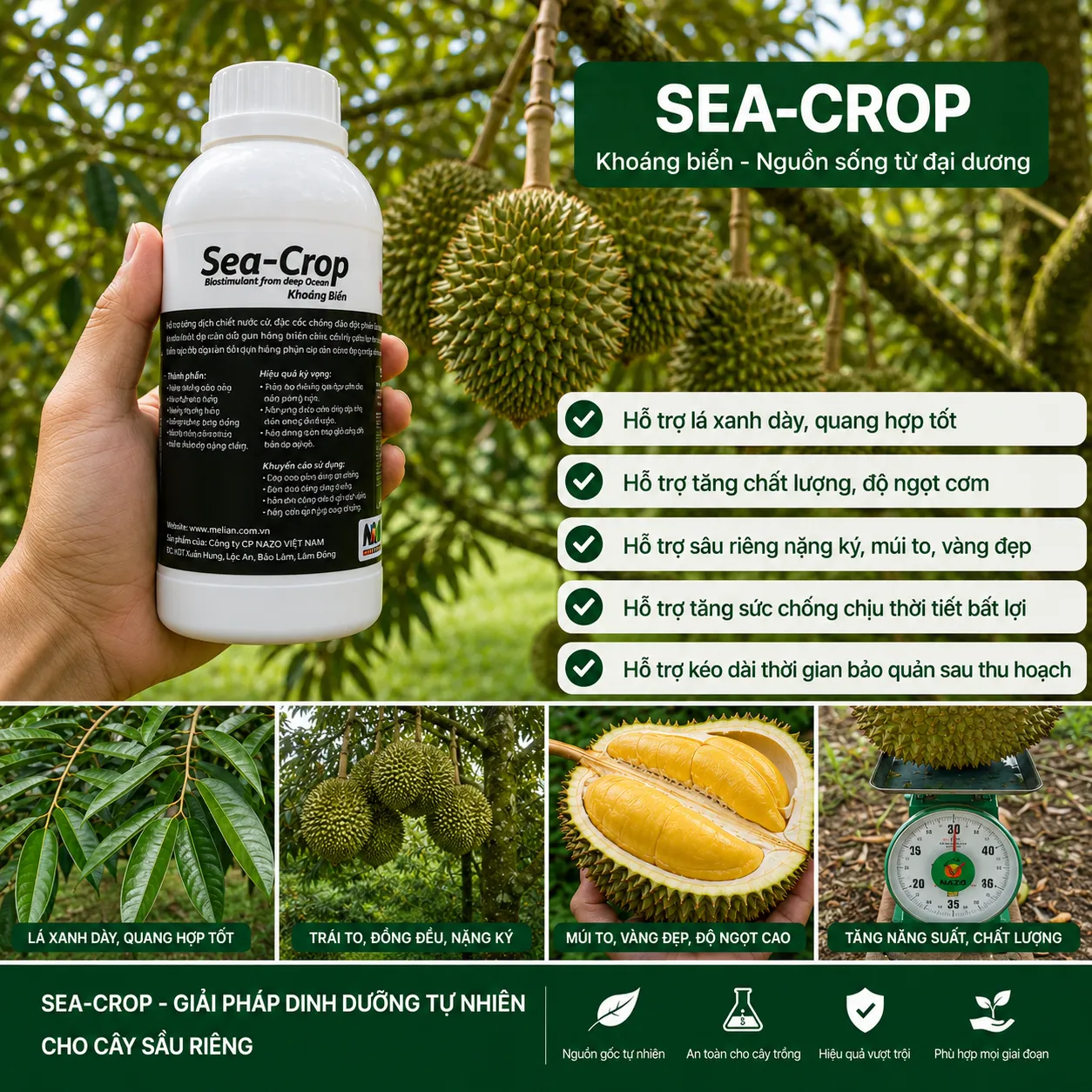 Sea-Crop - Ảnh 3