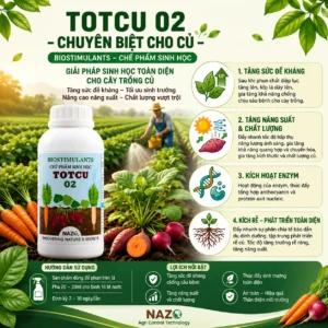 Alternative view of TOTCU 02