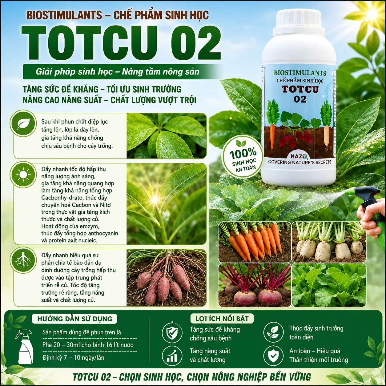 TOTCU 02 - Ảnh 3