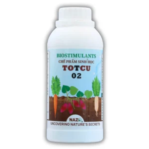 TOTCU 02