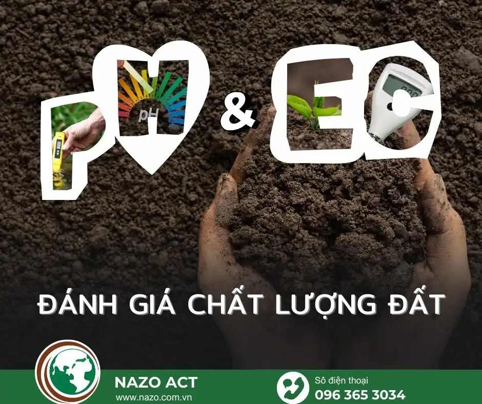 Phục hồi và cải tạo đất