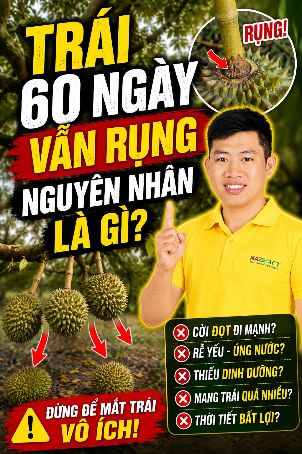 Nguyên nhân rụng trái 60 ngày