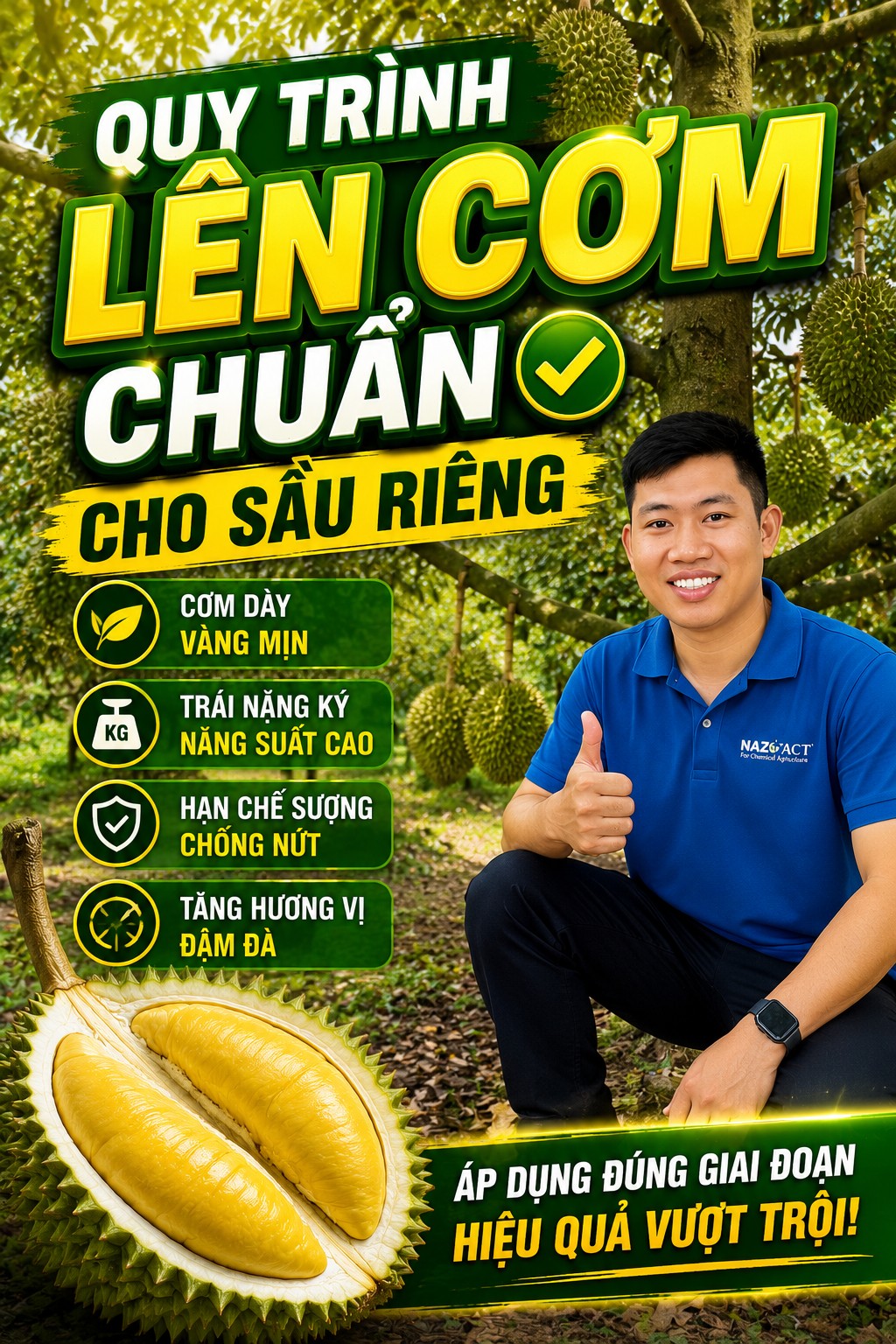 Quy trình lên cơm chuẩn cho sầu riêng